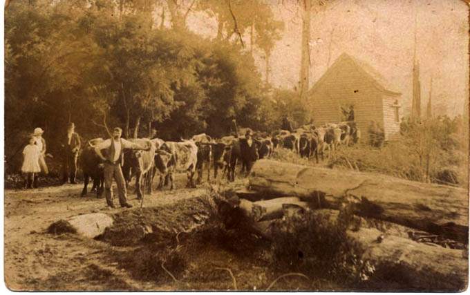 Removal of church building from Premaydena to Koonya 1927