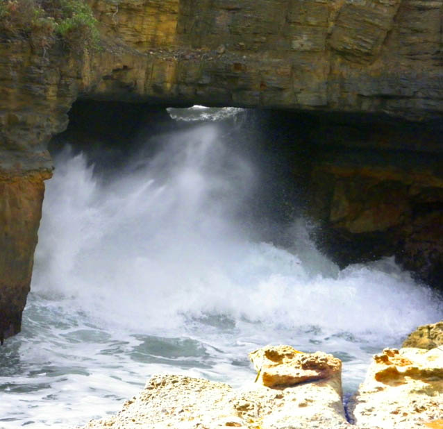 Photo: Arthur Orchard – there she blows!